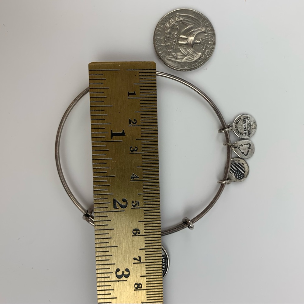 Alex and Ani Silver Bangle Sister Charm bracelet - Picture 11 of 14